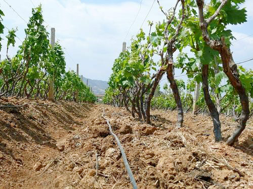 應用(yòng)案例1