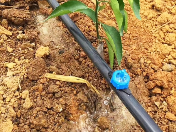 壓力補償式滴頭效果